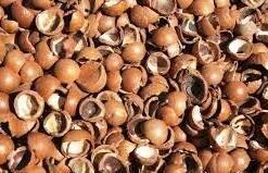 CASCA DE MACADAMIA 500g